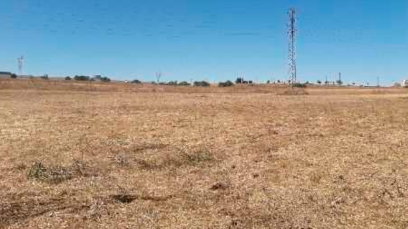 Finca rústica en Tipovia. Pago Aranzana, Polígono 4, Parcela, Arroyo de la Encomienda, Valladolid