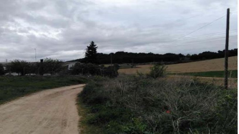 Finca rústica en venta en  Pago Palacios S/n