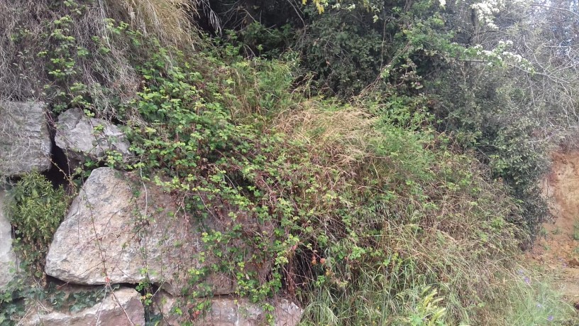 Ground for sale in calle Cim de la Baronia Urb Baronia de Montseny Prcl 300