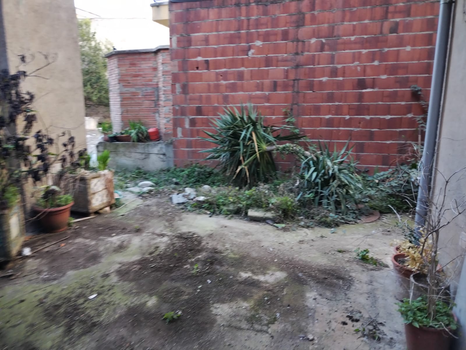 Chalet adosado en venta en calle Rusiñol
