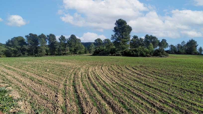 Rustic property for sale in poligono Carrer Josep Maria Bohigas