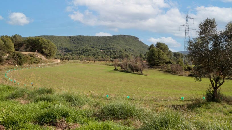 Rustic property for sale in poligono Carrer Josep Maria Bohigas