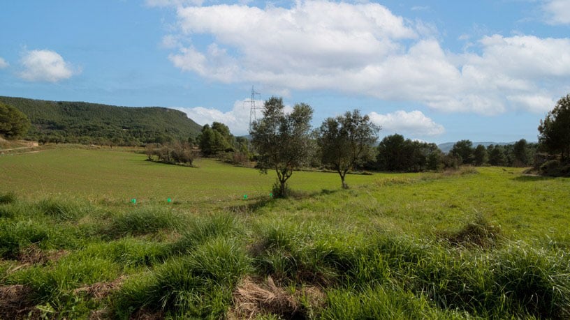 Rustic property for sale in poligono Carrer Josep Maria Bohigas