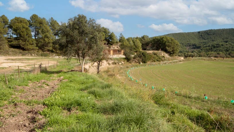 Rustic property for sale in poligono Carrer Josep Maria Bohigas