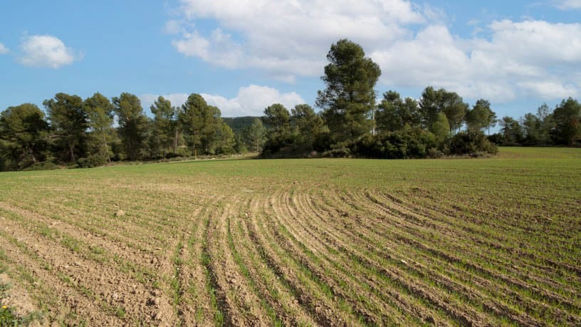 Rustic property for sale in poligono Carrer Josep Maria Bohigas