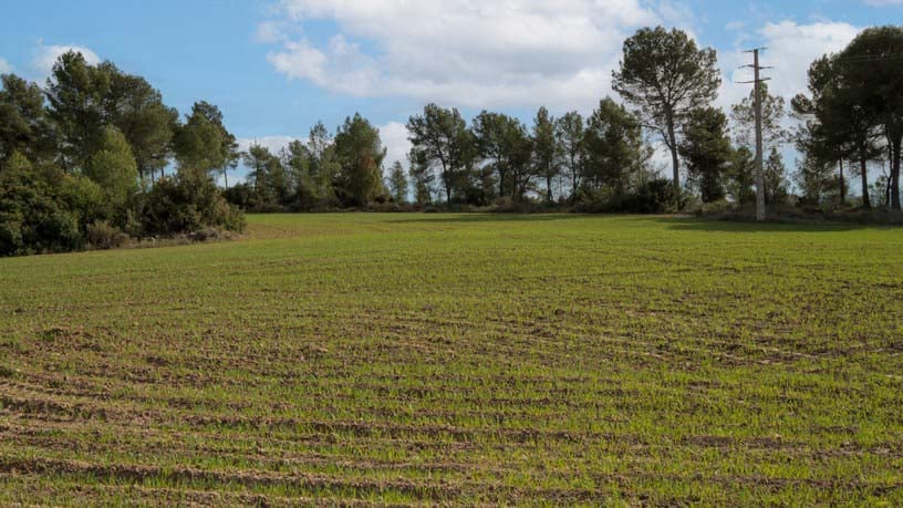 Rustic property for sale in poligono Carrer Josep Maria Bohigas