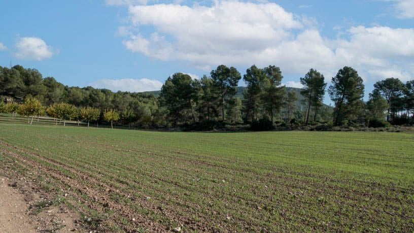 Rustic property for sale in poligono Carrer Josep Maria Bohigas