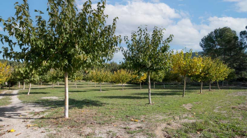 Rustic property for sale in poligono Carrer Josep Maria Bohigas