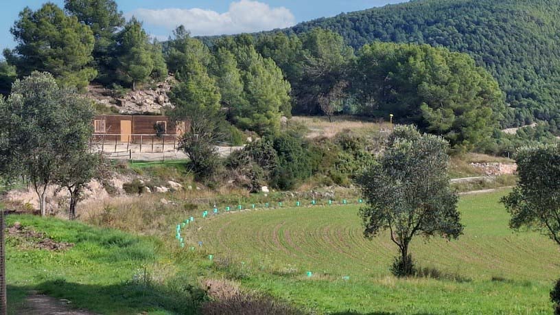 Rustic property for sale in poligono Carrer Josep Maria Bohigas