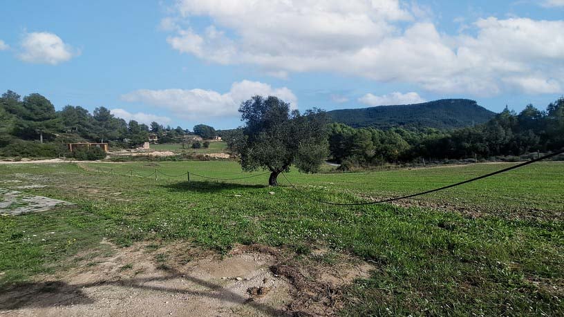 Rustic property for sale in poligono Carrer Josep Maria Bohigas