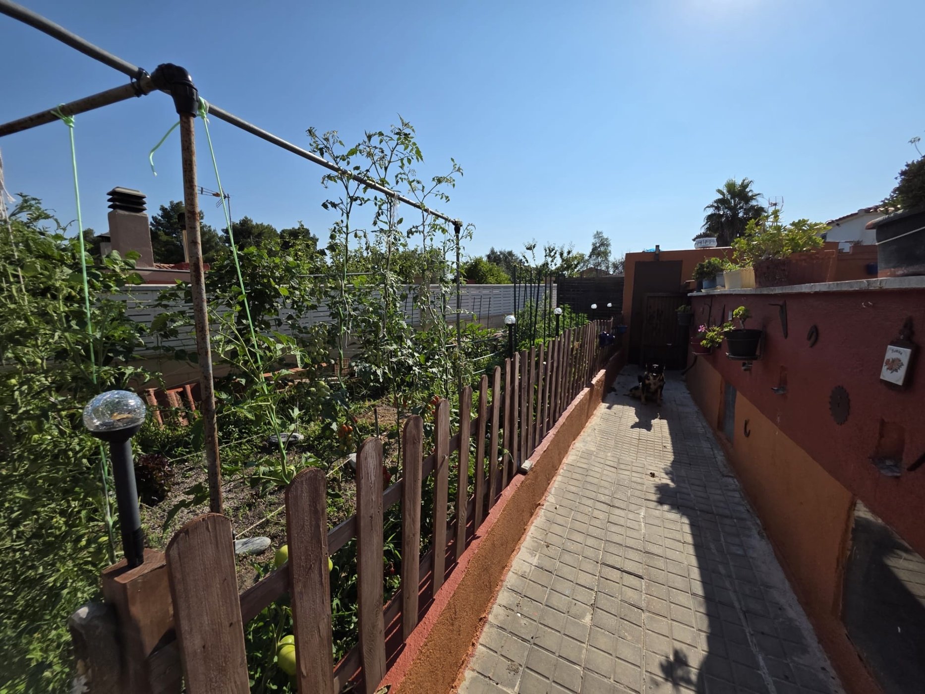 Casa en venta en carrer Carrer Tramuntana