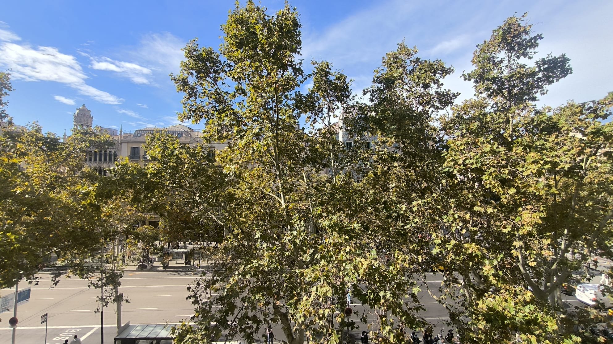 Bureau à vendre à otros Paseo de Gracia