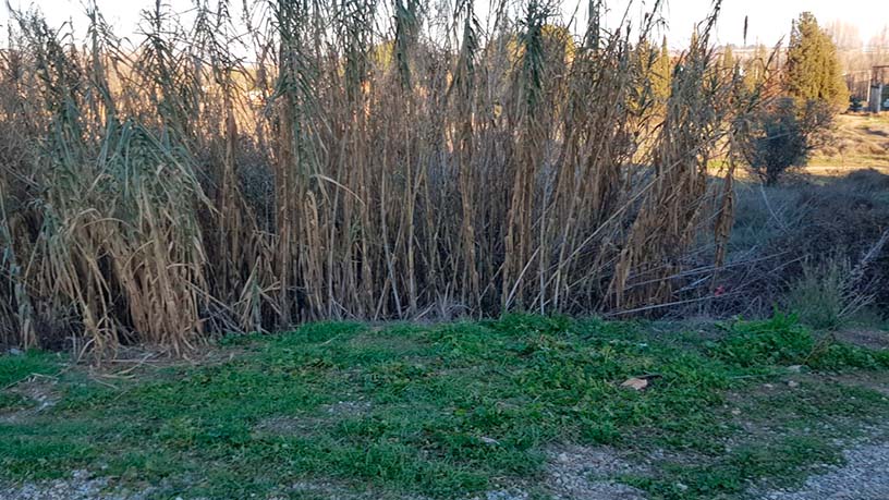 Developable land for sale in sect Pmu U61 (par4)