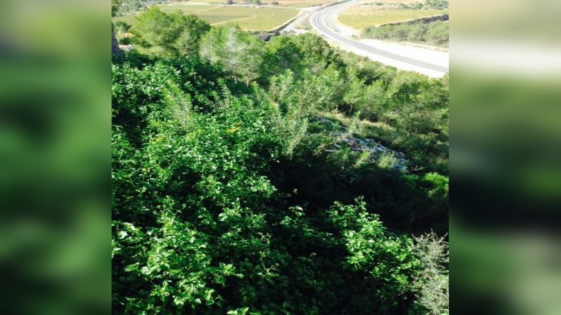 Terrain urbain  dans urbanisation Ter-ur 4 Can Gordei, Bisbal Del Penedès (La)