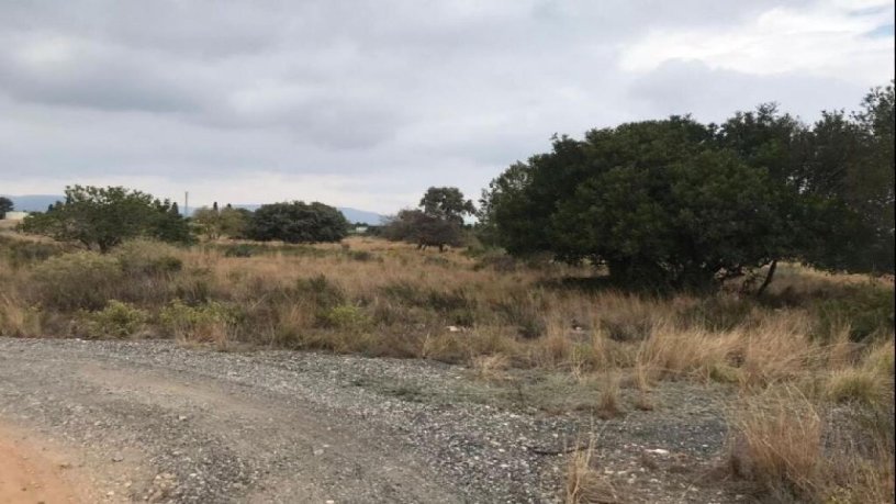 Terreno urbanizable en venta en ctra Carretera