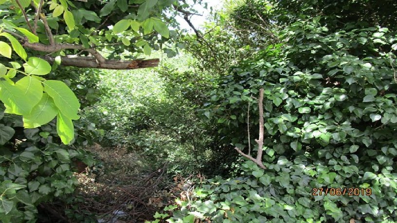 Terrain aménageable à vendre à calle Pau Casals