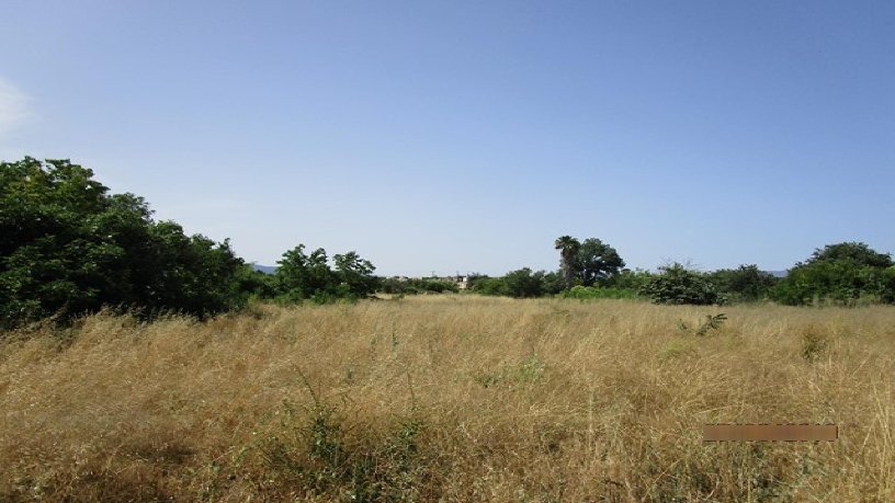 Terrain aménageable à vendre à calle Pau Casals
