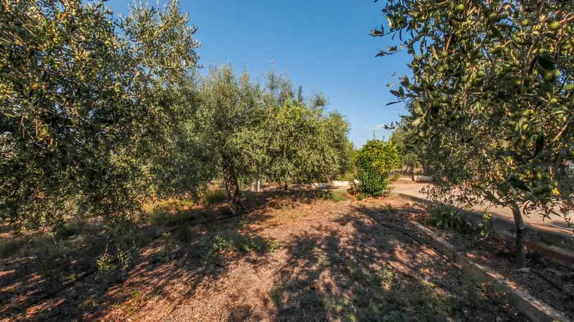 Casa en venta en camí Camí del Molí de Vent