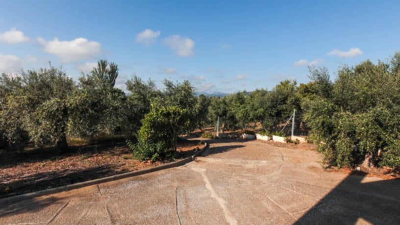 Casa en venta en camí Camí del Molí de Vent
