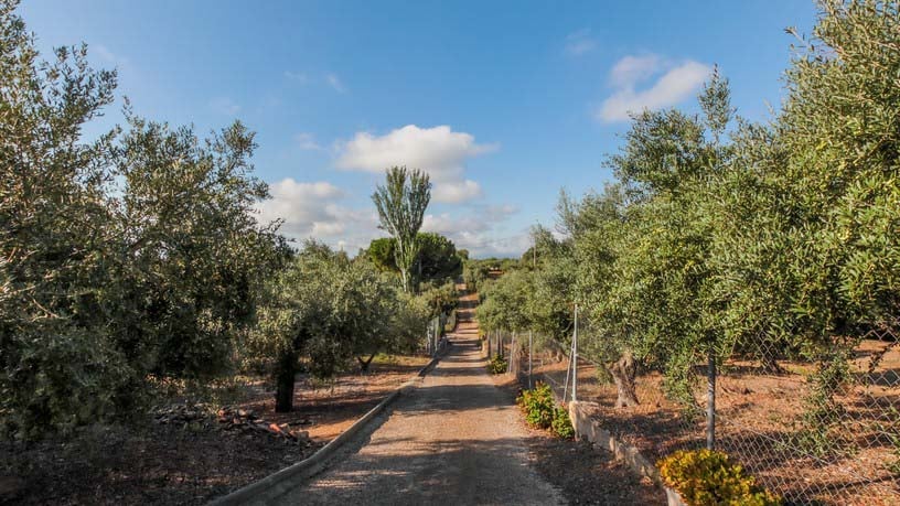 Casa en venta en camí Camí del Molí de Vent