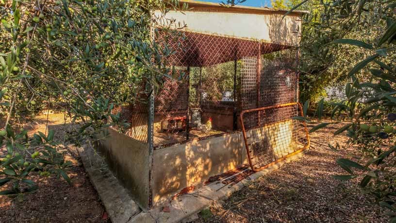 Casa en venta en camí Camí del Molí de Vent