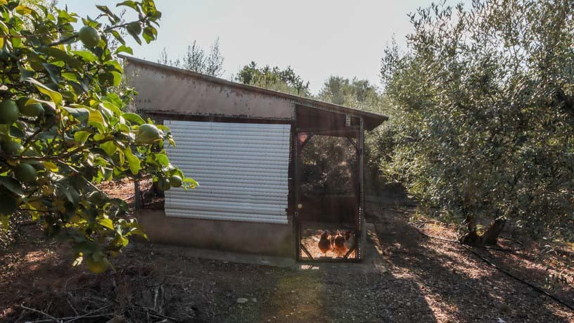 Casa en venta en camí Camí del Molí de Vent