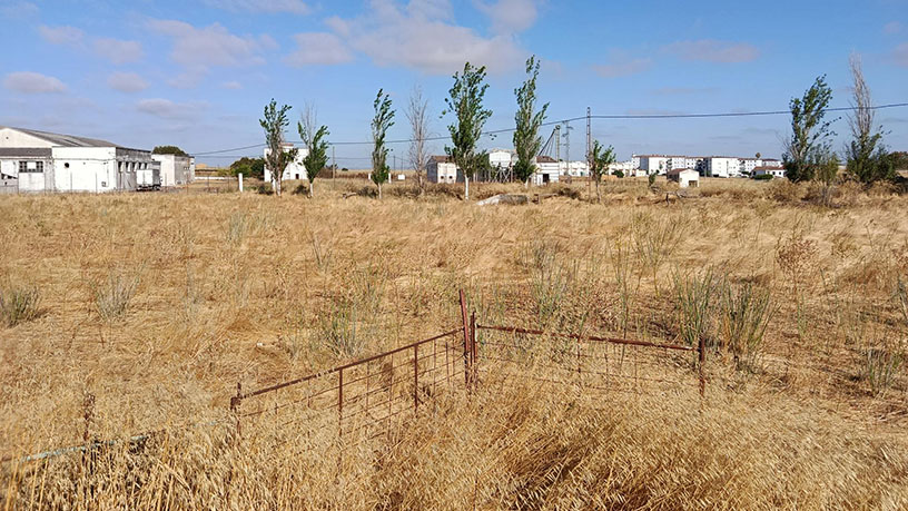 Terrain aménageable à vendre à calle Alconchel