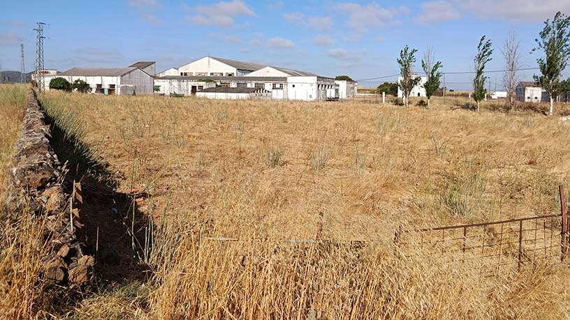 Terrain aménageable à vendre à calle Alconchel