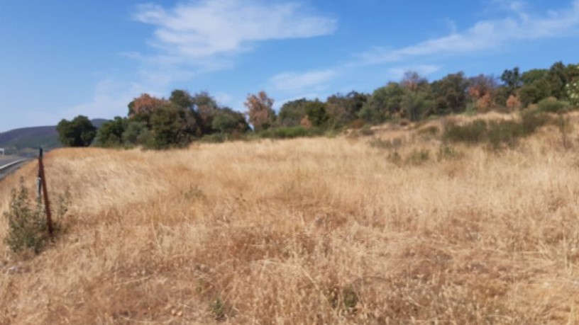 Terreno en venta en praje Carboneras Pol 4 Parc 146