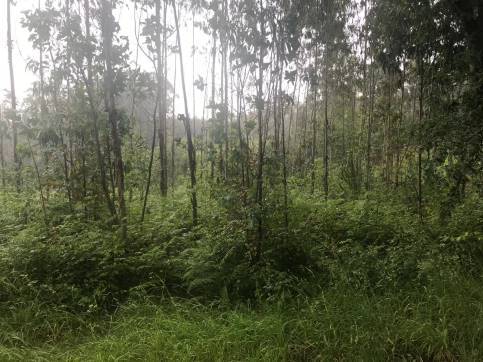 Terreno en venta en praje Rial de Arriba, Pol.24 Parc.95