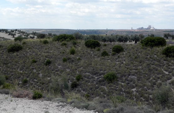 Finca rústica en venta en polig 9 las Cabezas. Parcela 87