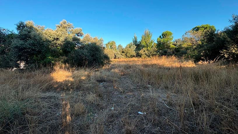 Urban ground for sale in calle Gobelas