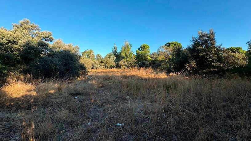 Urban ground for sale in calle Gobelas