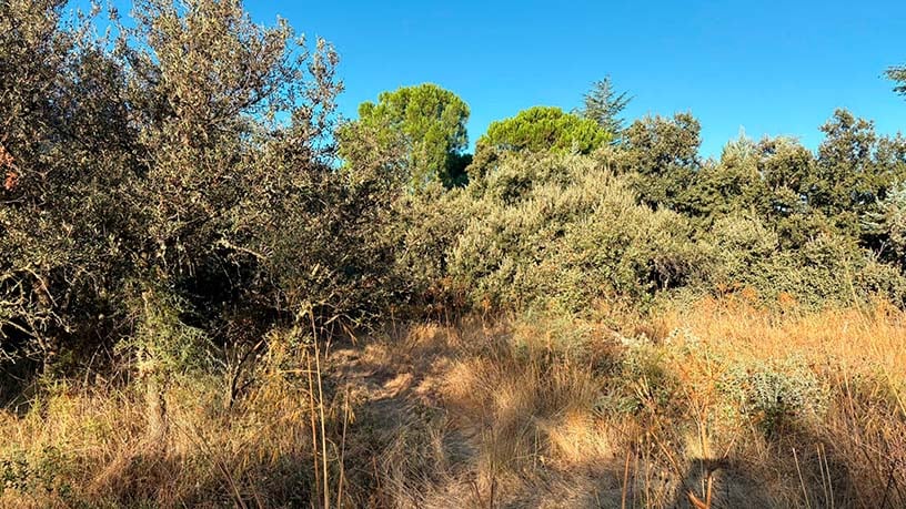 Urban ground for sale in calle Gobelas