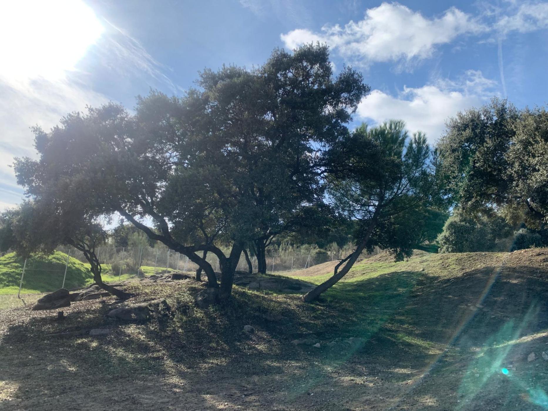 Terreno urbano en venta en calle Calle Puerto de la Cruz Verde