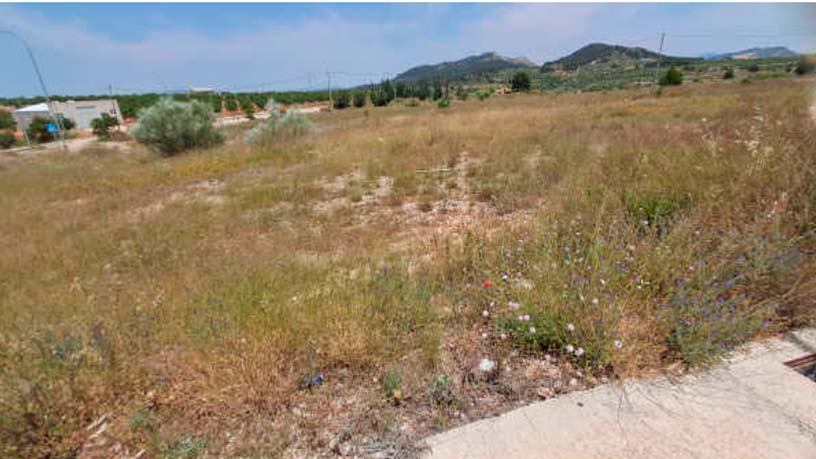 Terreno urbano en venta en calle Sierra de Carrascoy