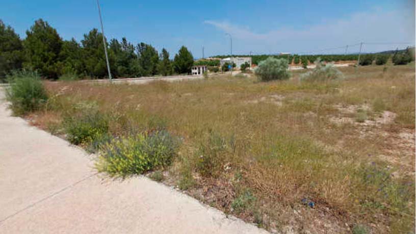 Terreno urbano en venta en calle Sierra de Carrascoy