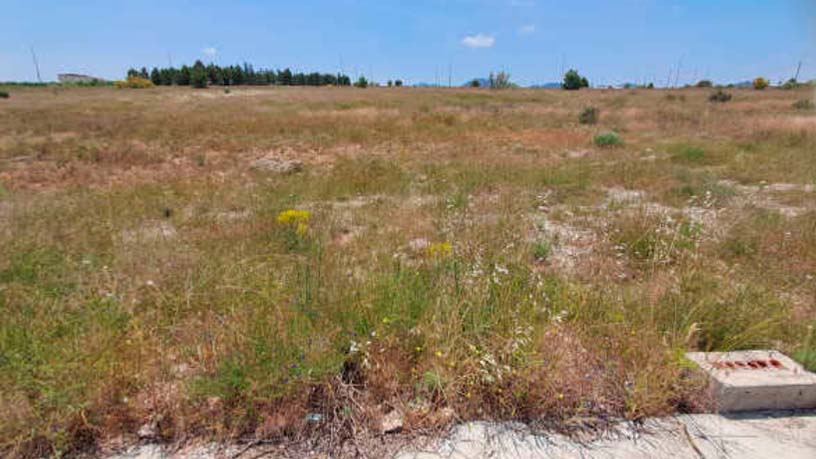 Terreno urbano en venta en calle Sierra de Carrascoy