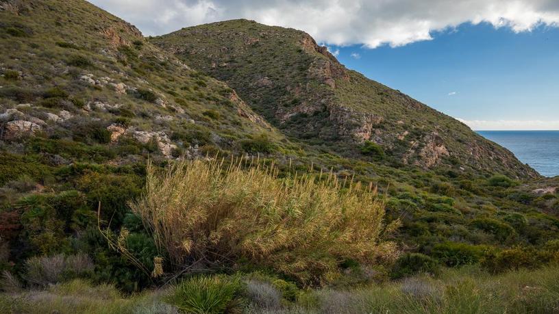 Semi-detached house for sale in lugar Torre Morenos