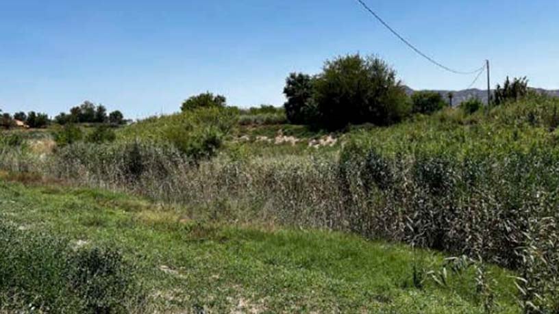 Developable land for sale in  Carril Manolito