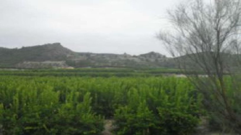 Terrain aménageable de 297453m² dans  Cañada Gil, Ricote, Murcia