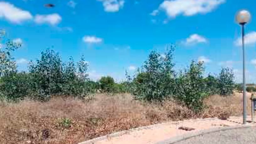Terrain de golf Dans Rue Jamaica, Fuente Álamo de Murcia, Murcia