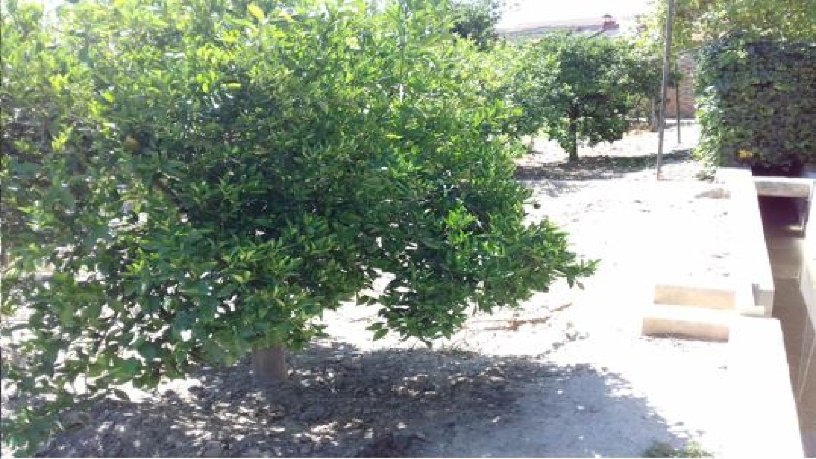 Terreno urbanizable en venta en calle Mayor Villanueva