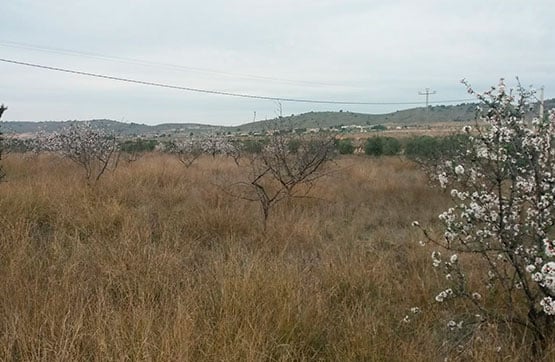 Terreno en venta en lugar Partida la Solana, Pol1 Parc 291