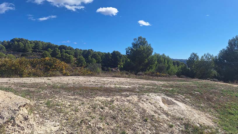 Promotion of Lands, Residencial Ciudad Jardin, Teulada