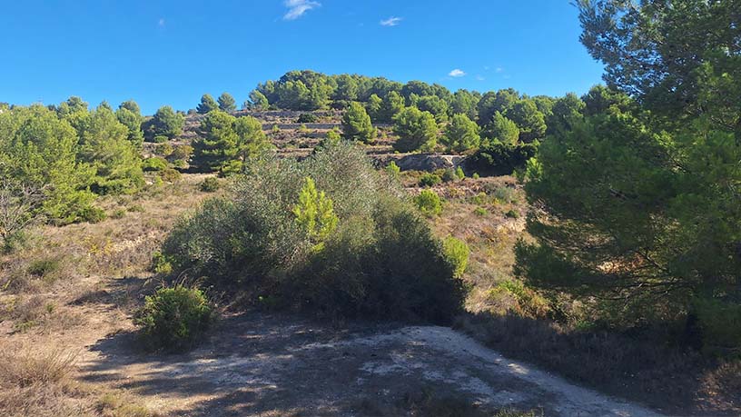 Promotion of Lands, Residencial Ciudad Jardin, Teulada