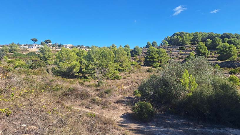 Promotion of Lands, Residencial Ciudad Jardin, Teulada