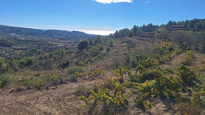 Promotion of Lands, Residencial Ciudad Jardin, Teulada