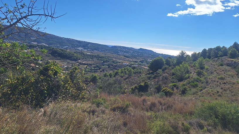 Promotion of Lands, Residencial Ciudad Jardin, Teulada