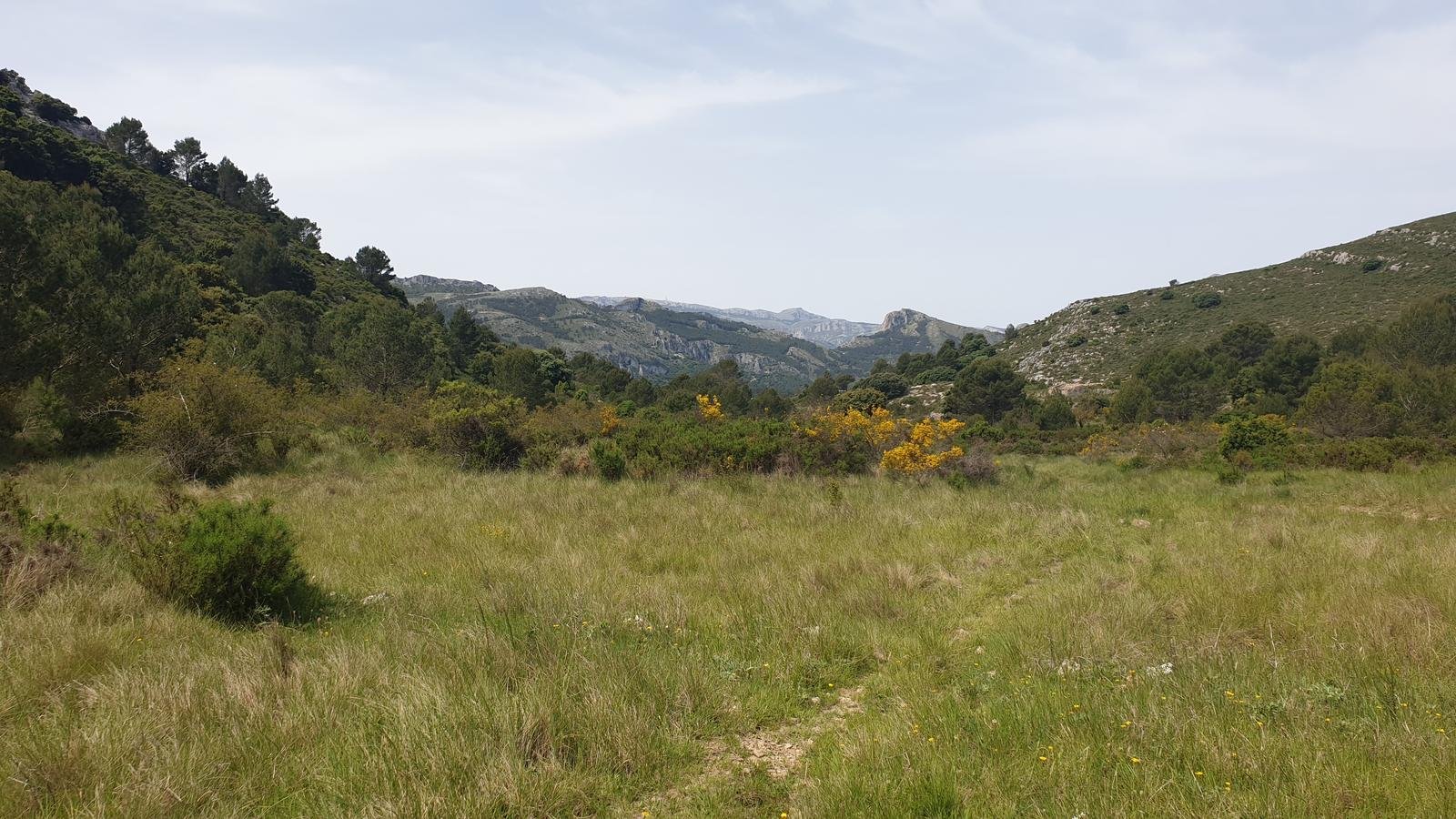 Propriété rustique à vendre à otros Varias Parcelas